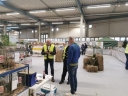 Lingener Kleintiertage November 2024